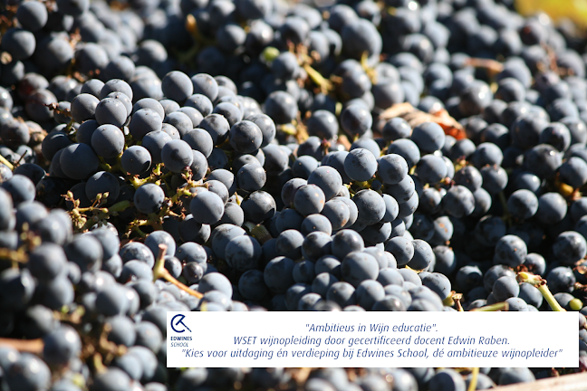 Comentarii opinii despre Edwines