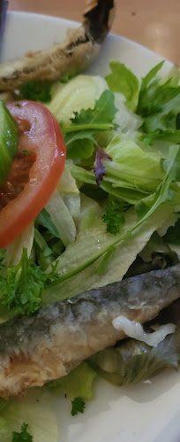 Comentarii opinii despre Troje