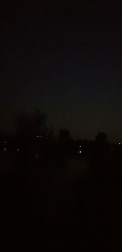 Opinii despre Bloem în 's-Hertogenbosch - Horeca