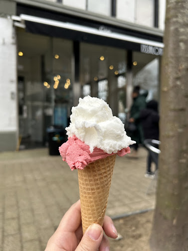 IJssalon Salute B.V. - Zwolle