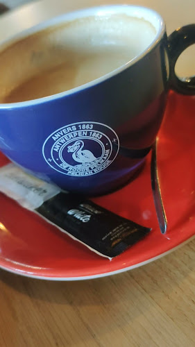 Volkslust Haarlem Open Times