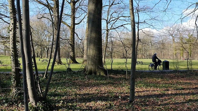 Comentarii opinii despre Theehuis Rhijnauwen