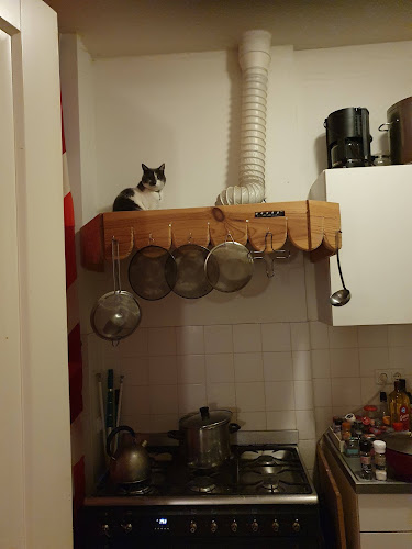 Comentarii opinii despre Galerie CoffeeShop YoYo