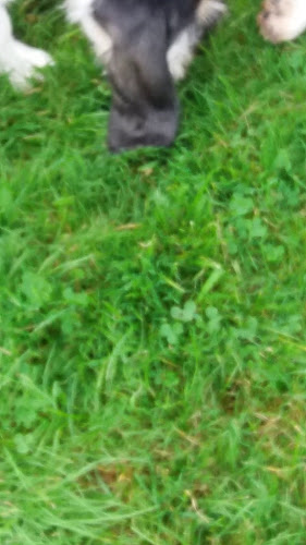 Gasterie de Bokkereyer