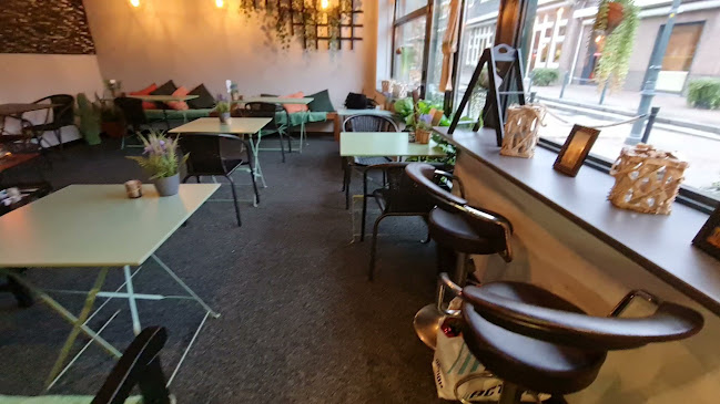 Comentarii opinii despre Zaytoona