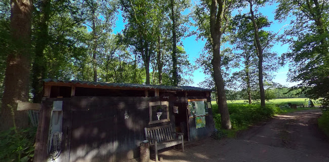 Comments and reviews of Ankomm’n