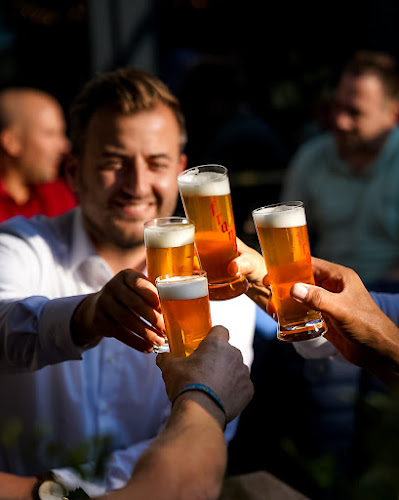 Comentarii opinii despre Big Belly Bar & Restaurant