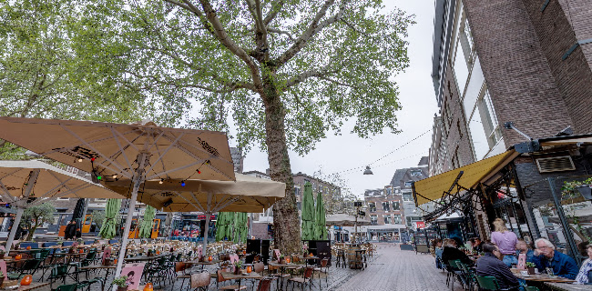 Comentarii opinii despre Freddy's