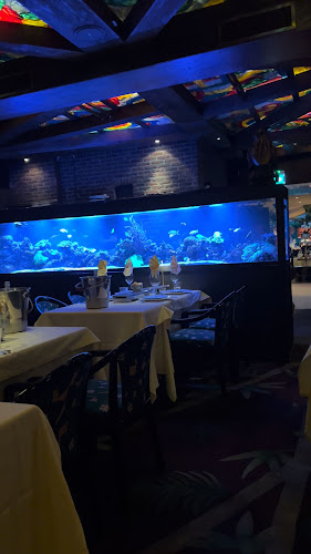 Opinii despre Flamingo Paradise în Wassenaar - Horeca