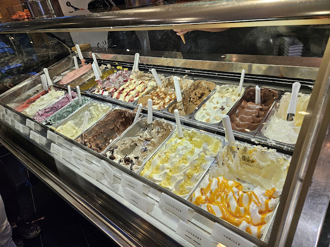 IJssalon Salute B.V. - Horeca