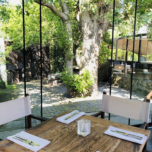 Comentarii opinii despre Viersprong