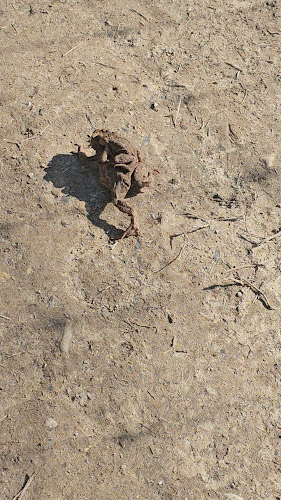 Chalet D'n Observant - Maastricht