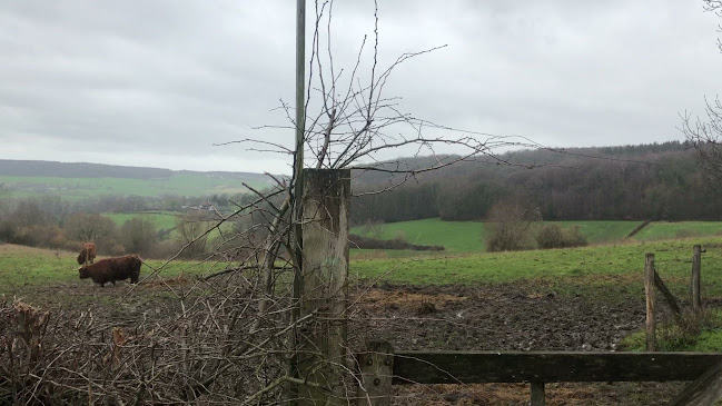 Berkelplein 11, 6301 ZA Valkenburg