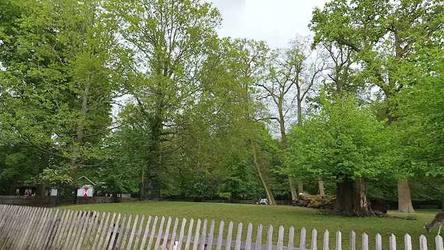 Opinii despre Theehuis de Haarlemmerhout în Haarlem - Horeca