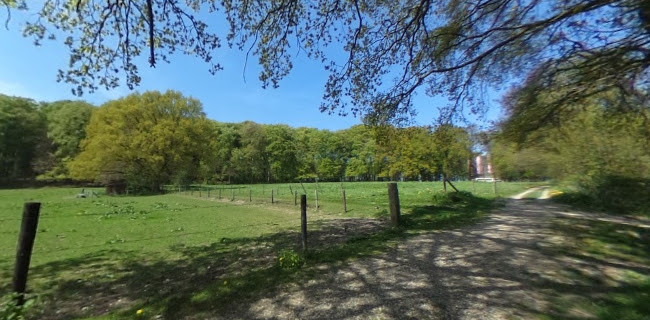 De Steenen Tafel Open Times