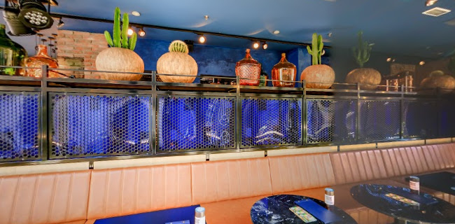 Comentarii opinii despre 't Taphuys