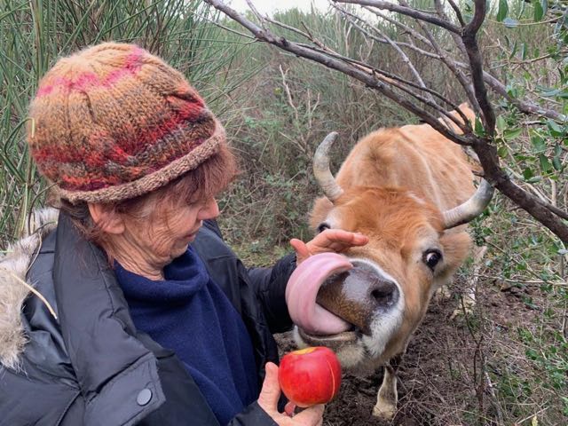 Comentarii opinii despre Wilde Wijnen