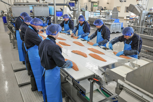 Opinii despre Norwegian Seafood Europe în Urk - Horeca