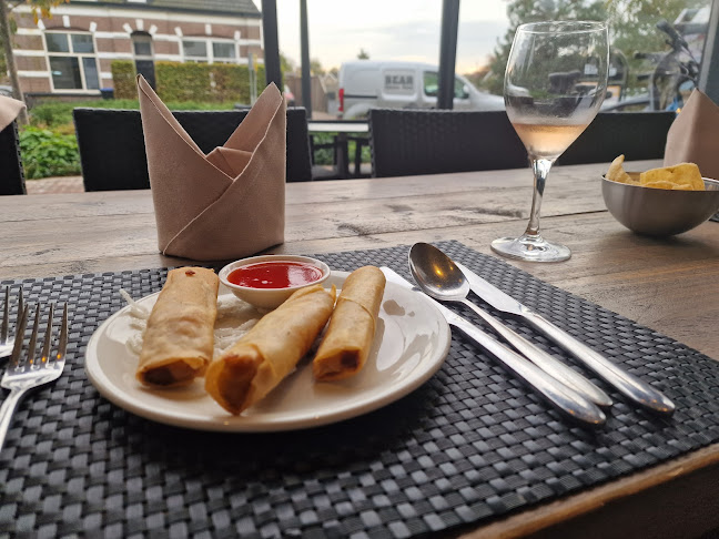 Comentarii opinii despre Dynasty