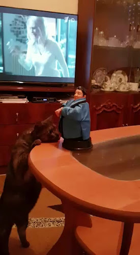 Brasserie De Rotterdammer