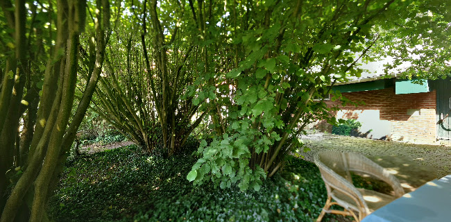 Reviews of Ankomm’n in Winterswijk - Horeca