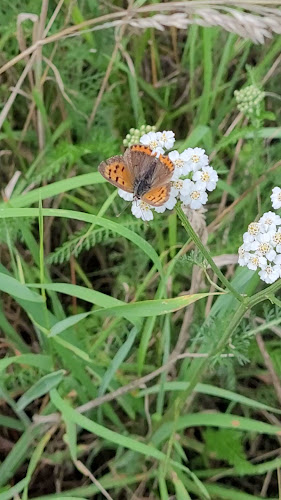 Pluk en theetuin in de 7e Hemel