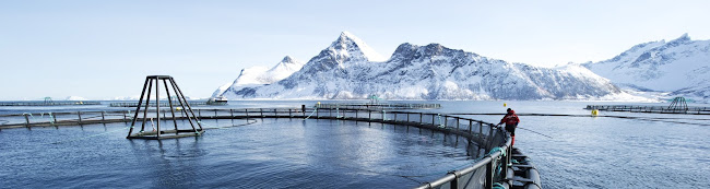 Norwegian Seafood Europe - Horeca