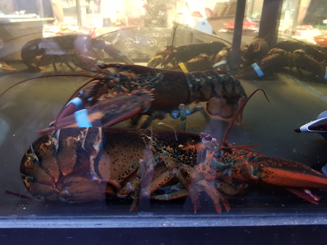 Comentarii opinii despre The Louisiana Lobstershack