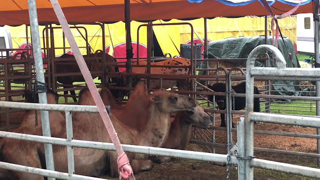 La Villa - Grillroom & Pizzeria