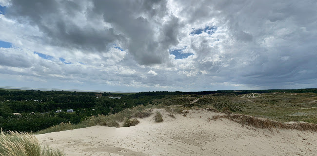 Opinii despre De Bessenschuur în West-Terschelling - Horeca