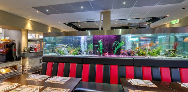 Comentarii opinii despre Dijkhuis