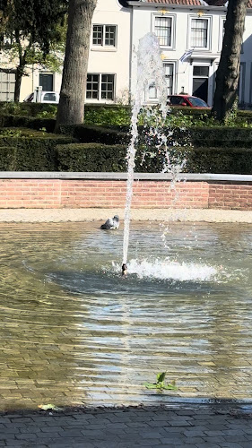 Opinii despre Fonteyn Groede în Groede - Horeca