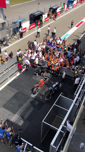 Comentarii opinii despre Paddock