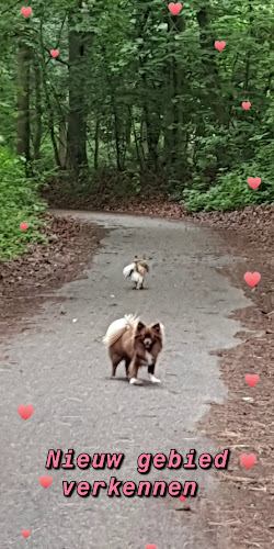 Chalet ten Bosch - Horeca