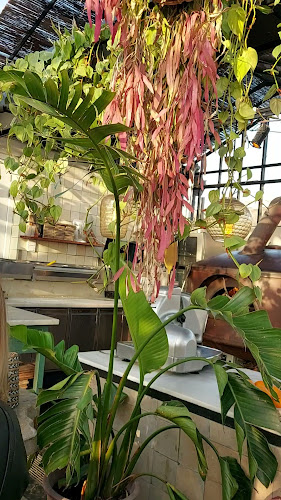 Beachclub C - Noordwijk