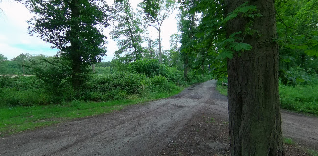 Ankomm’n - Winterswijk