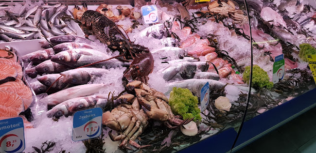 het Suezkanaal - Den Haag