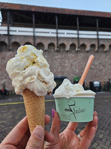 Opinii despre IJssalon Salute B.V. în Zwolle - Horeca