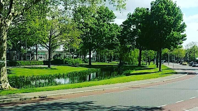 Wolfsbosstraat 6, 7906 NR Hoogeveen