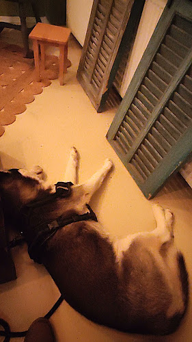 Keizerstraat 128, 2584 BM Den Haag