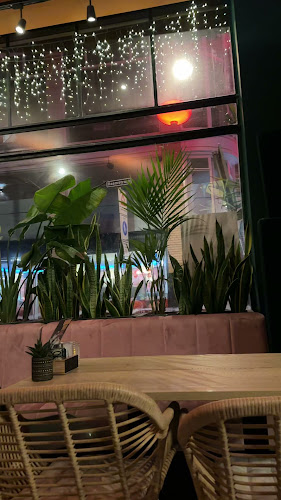 The Wings Paradise Den Haag Open Times