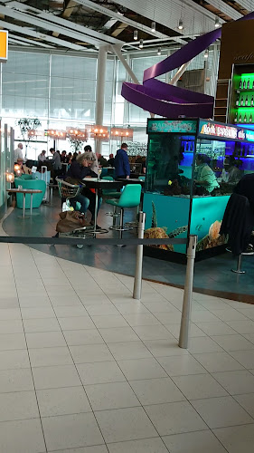 Café Chocolat - Horeca