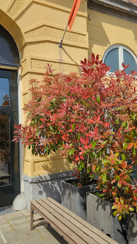 Plancius - Amsterdam