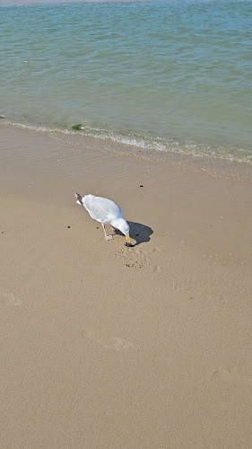 Strandpaviljoen De Piraat Oostkapelle - Horeca