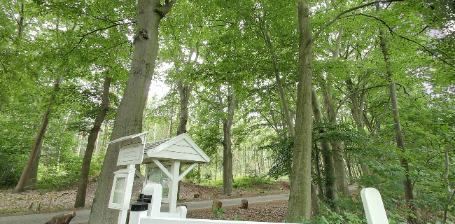 Orangerie Mattemburgh Phone number