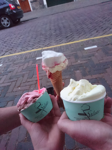 Comentarii opinii despre IJssalon Salute B.V.