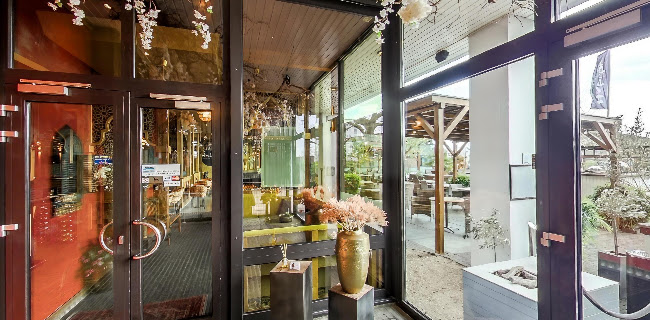 Comments and reviews of Habibi