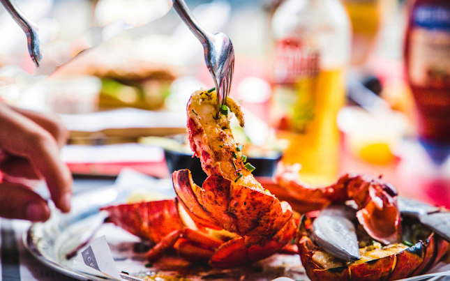 Opinii despre The Louisiana Lobstershack în Haarlem - Horeca