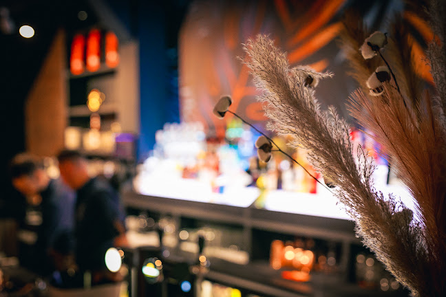 Secret Bar & Kitchen - Horeca