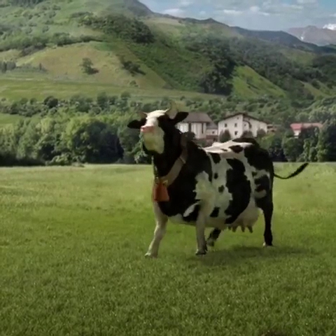 Brasserie Gezellig - Horeca